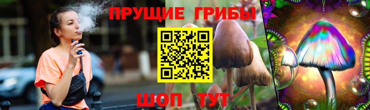 Псилоцибиновые грибы GOLDEN TEACHER Югорск